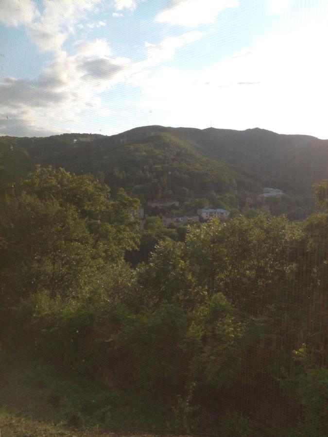 Pirosmani 66 Hotell Sighnaghi Eksteriør bilde