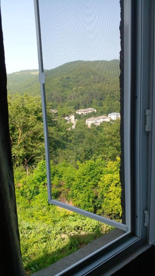 Pirosmani 66 Hotell Sighnaghi Eksteriør bilde